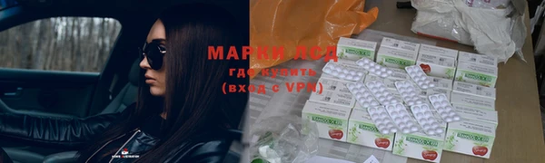 стафф Майский