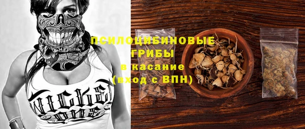 стаф Липки