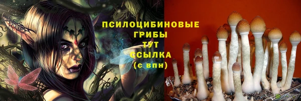 mdpv Анива