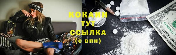 стаф Липки