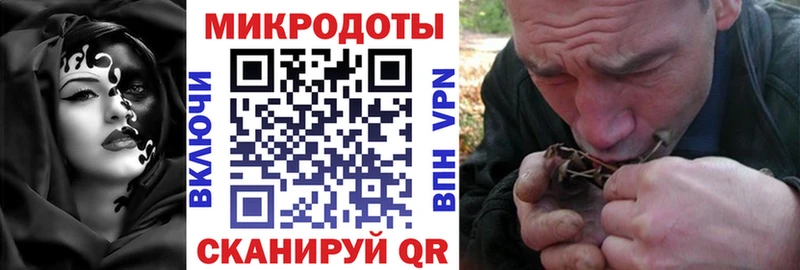 Купить  Кимры  Галлюциногенные грибы GOLDEN TEACHER 